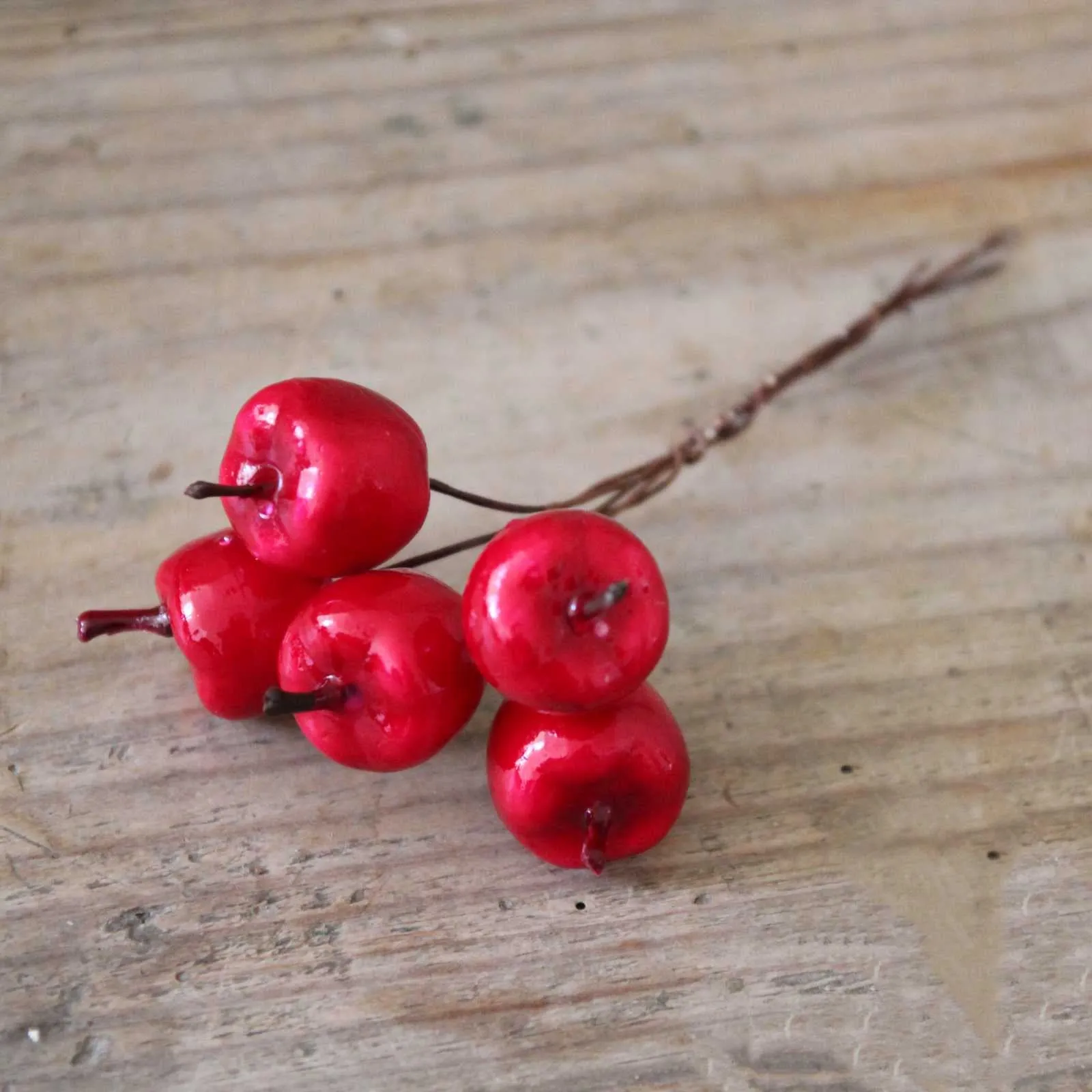 Apples on wire