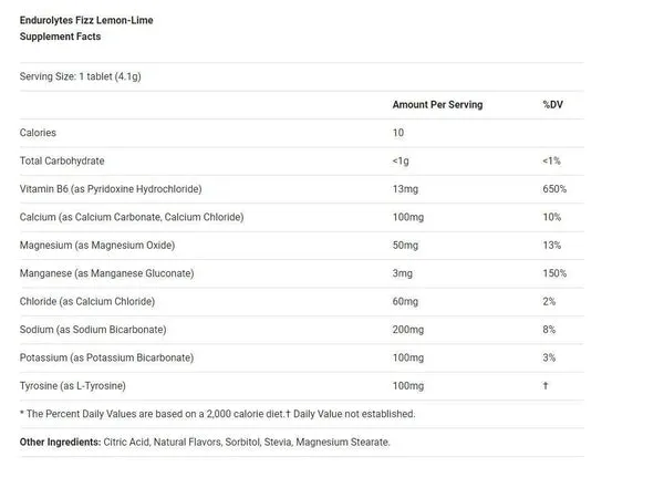 Hammer Nutrition Endurolytes Fizz